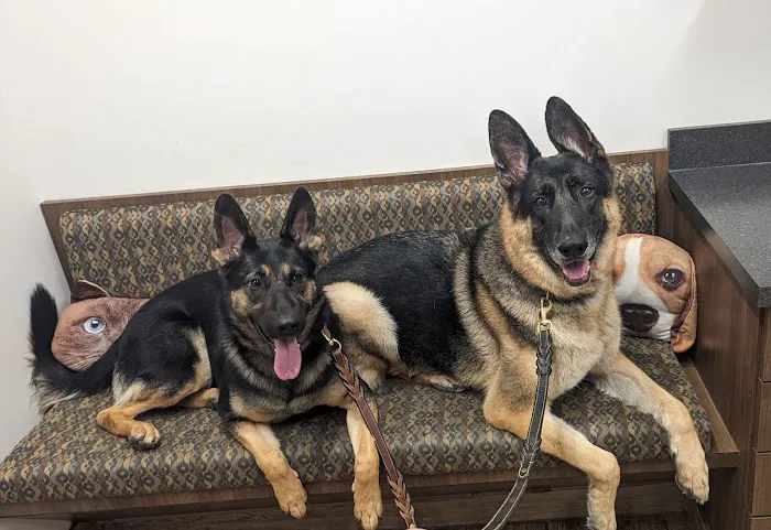 Greenfield Veterinary Hospital Picture 3