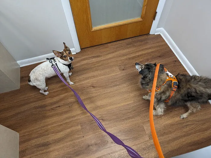 Point Breeze Veterinary Clinic Picture 7