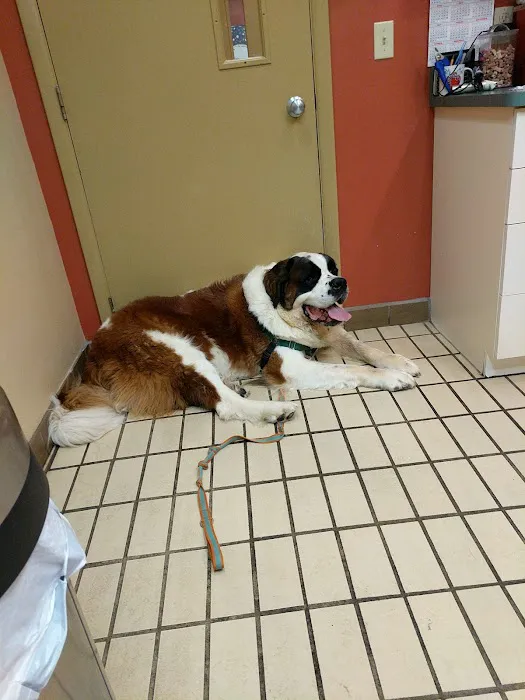 Point Breeze Veterinary Clinic Picture 8