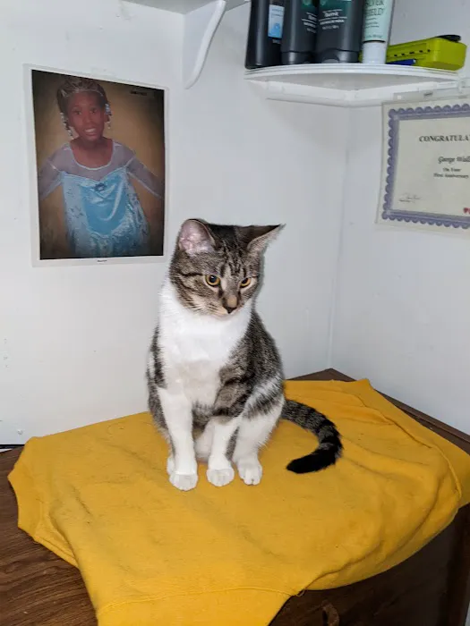 Banfield Pet Hospital Picture 9