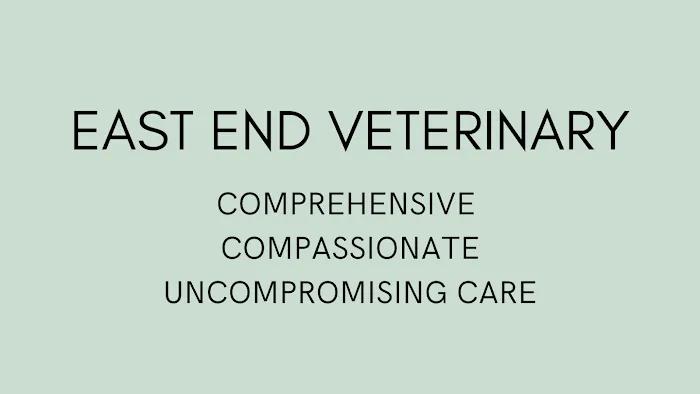 East End Veterinary Medical Centre Picture 2
