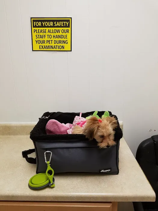 Grafton Animal Care Center Picture 2