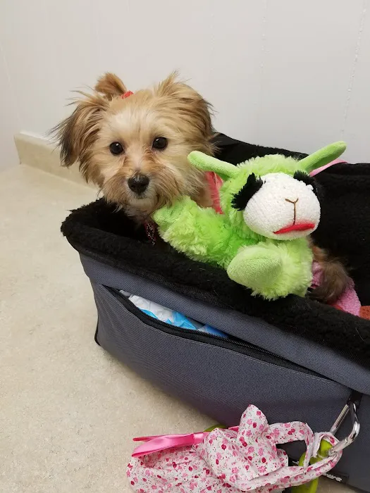 Grafton Animal Care Center Picture 10