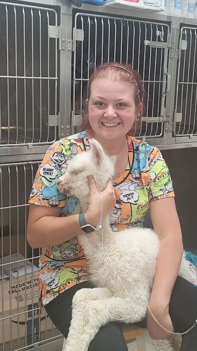 Braden Run Animal Hospital Picture 4