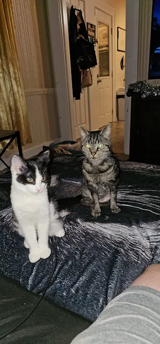 Catnip Acres Clinic Picture 1