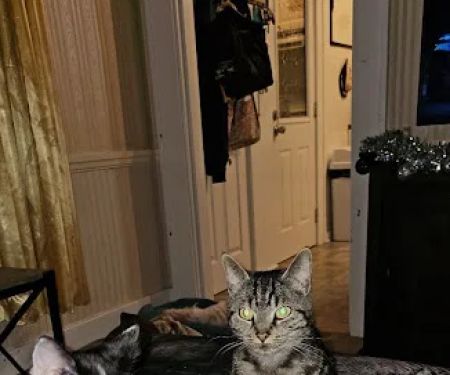 Catnip Acres Clinic