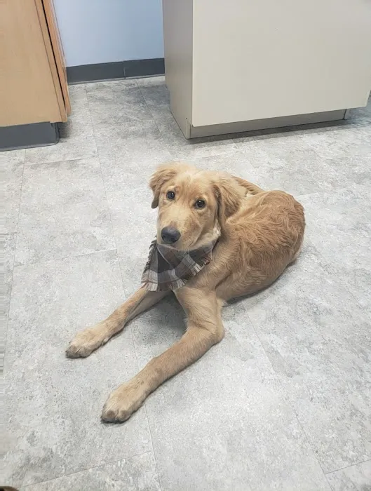 Waynesburg Animal Hospital Picture 2