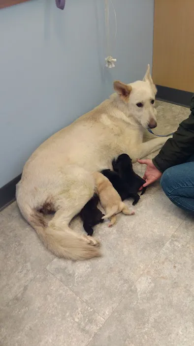 Waynesburg Animal Hospital Picture 5