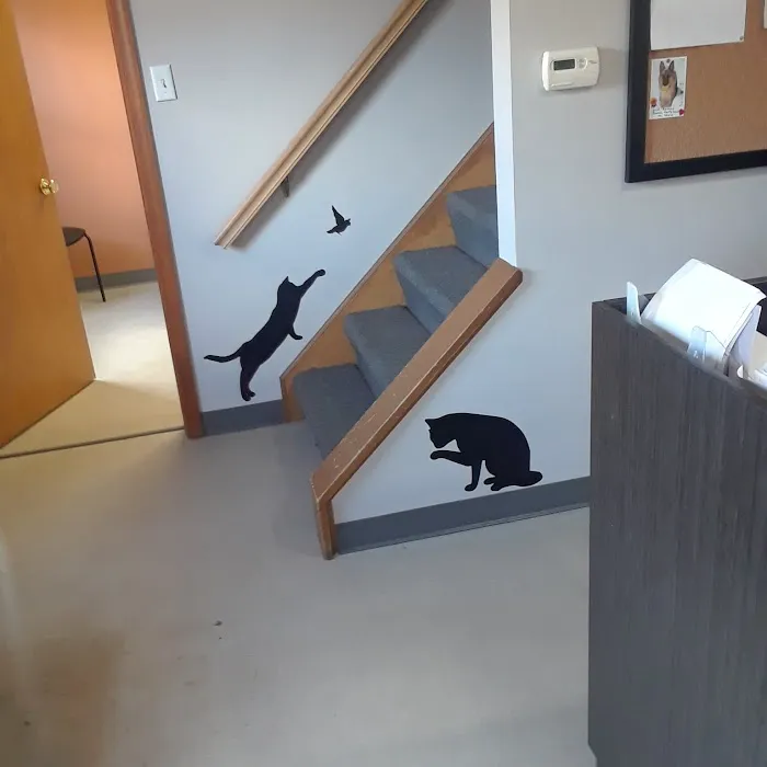 Brush Run Veterinary Clinic Picture 1