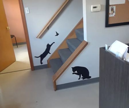 Brush Run Veterinary Clinic
