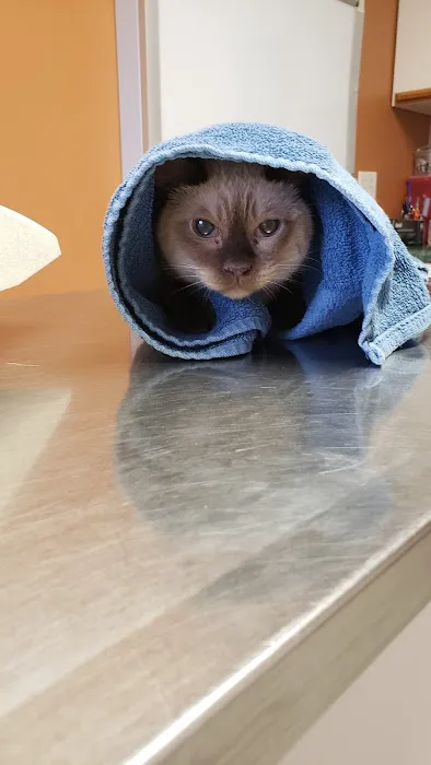 Brush Run Veterinary Clinic Picture 9