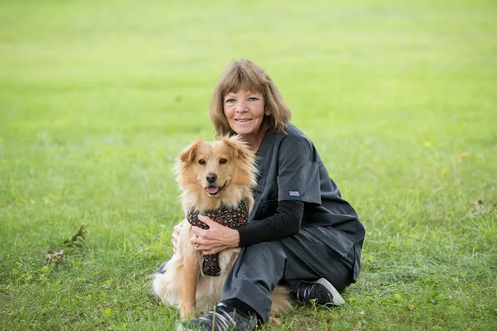 Pleasant Valley Veterinary Clinic Picture 1