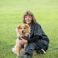 Pleasant Valley Veterinary Clinic ico