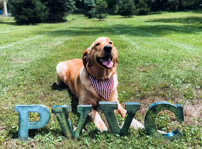 Pleasant Valley Veterinary Clinic Picture 3