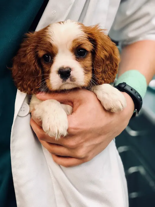 Pleasant Valley Veterinary Clinic Picture 9