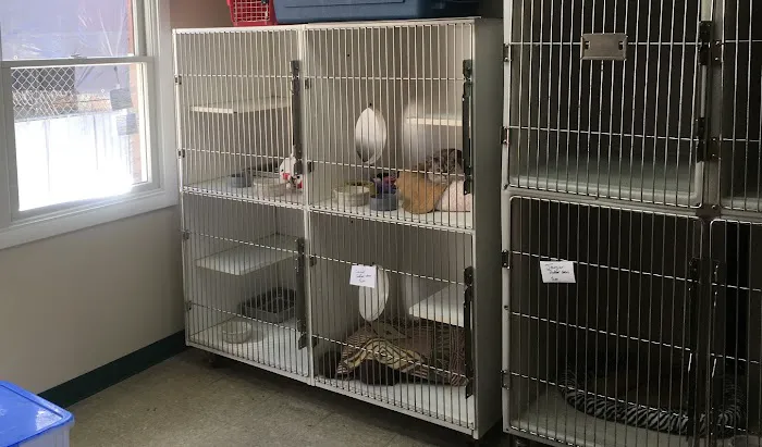 Pleasant Valley Veterinary Clinic Picture 10