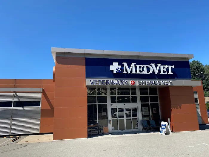 MedVet Pittsburgh Picture 1
