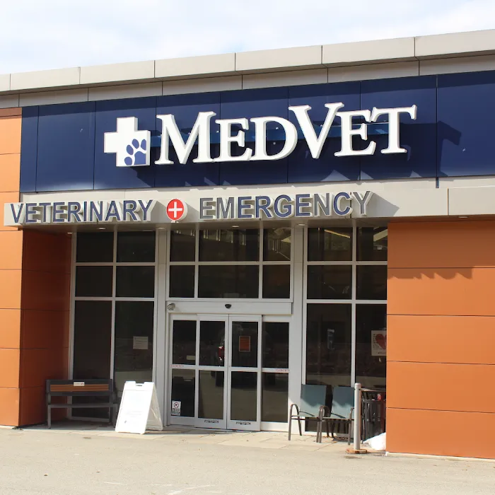 MedVet Pittsburgh Picture 3