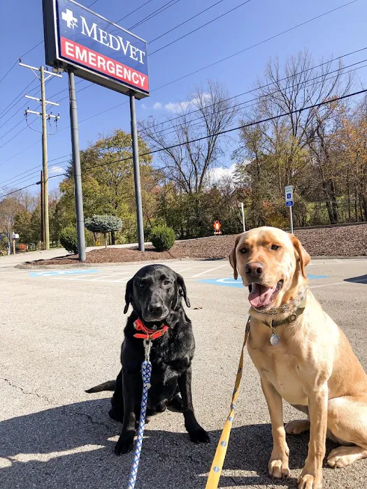MedVet Pittsburgh Picture 8