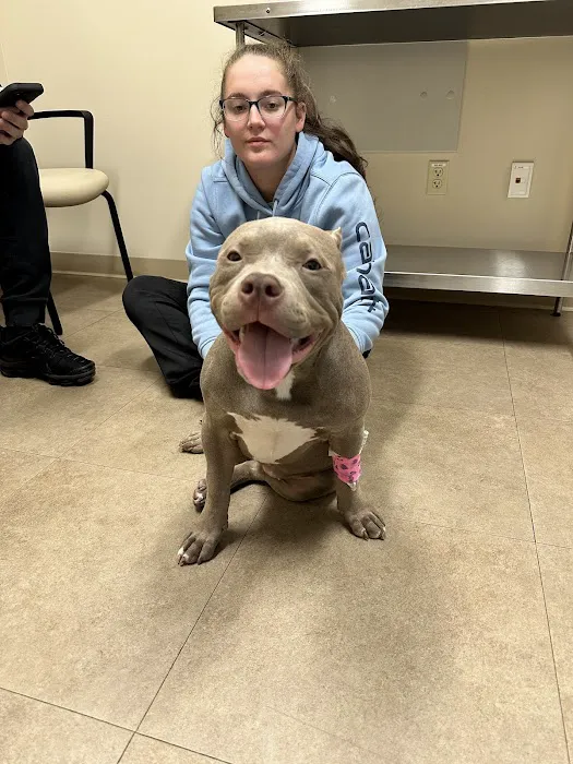 MedVet Pittsburgh Picture 7