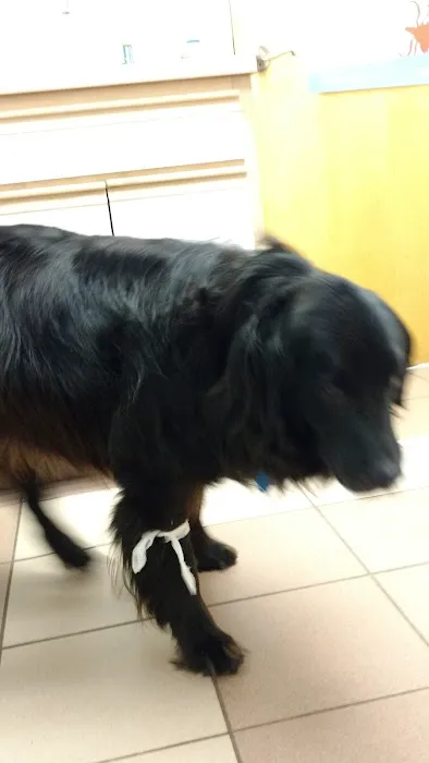 Hidden Valley Animal Clinic Picture 6