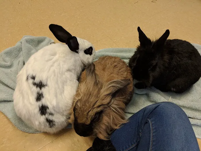 Bethel Park Animal Clinic Picture 2