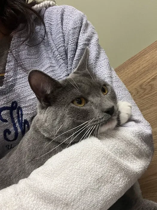 Bethel Park Animal Clinic Picture 1
