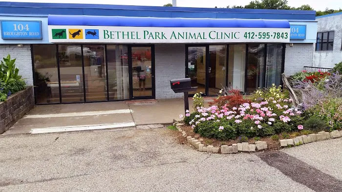 Bethel Park Animal Clinic Picture 9