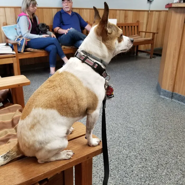 Rocky Point Animal Hospital Picture 9