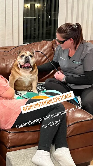 On Point Mobile Acupuncture Veterinary Services Picture 1