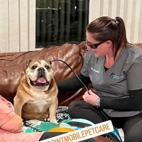 On Point Mobile Acupuncture Veterinary Services ico