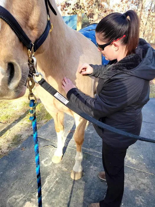 On Point Mobile Acupuncture Veterinary Services Picture 10