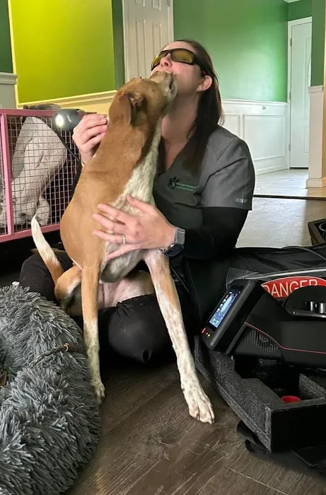 On Point Mobile Acupuncture Veterinary Services Picture 8
