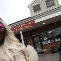 Wading River Veterinary Hospital ico