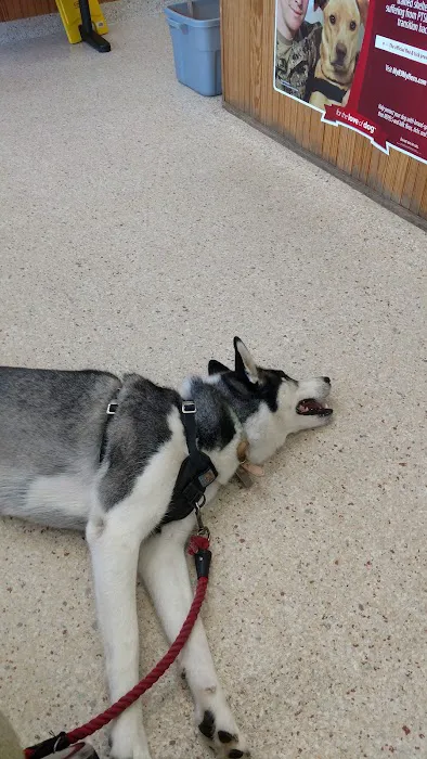 Wading River Veterinary Hospital Picture 7