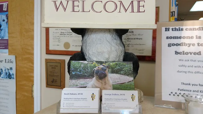 Wading River Veterinary Hospital Picture 4