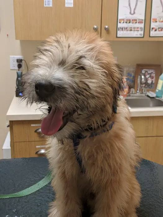 Wading River Veterinary Hospital Picture 6