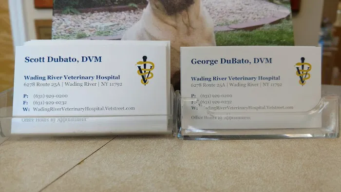 Wading River Veterinary Hospital Picture 9