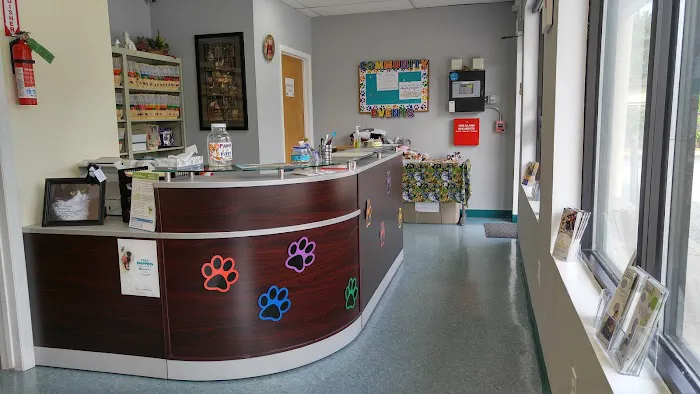 Integrative Veterinary Therapies, P.C. Picture 8