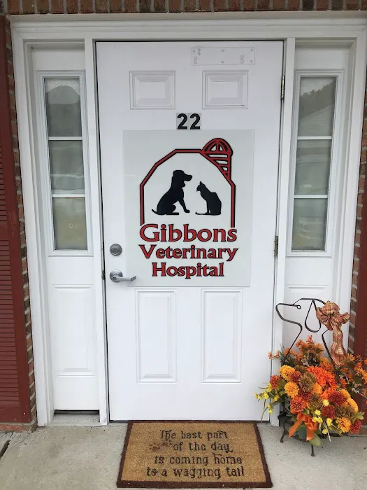 Gibbons Matthew DVM Picture 3