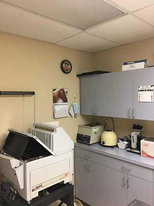 Gibbons Veterinary Hospital Picture 4