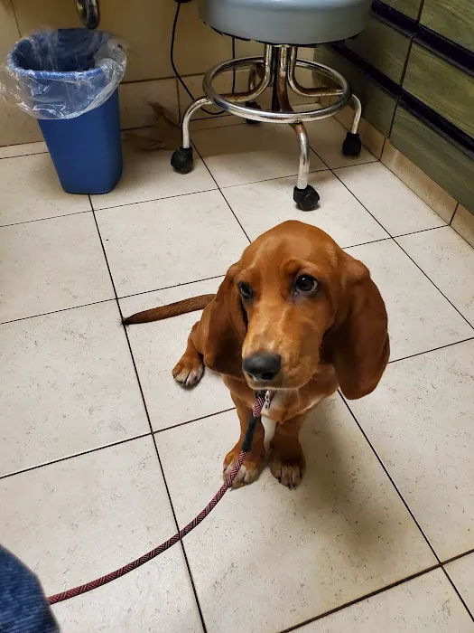 Ridgemont Animal Hospital Picture 3