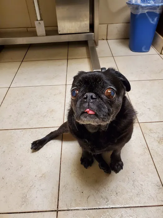 Ridgemont Animal Hospital Picture 2