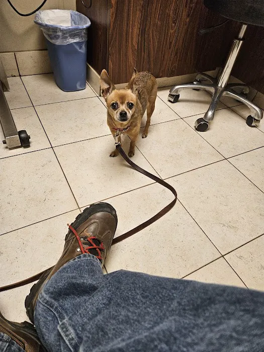 Ridgemont Animal Hospital Picture 8