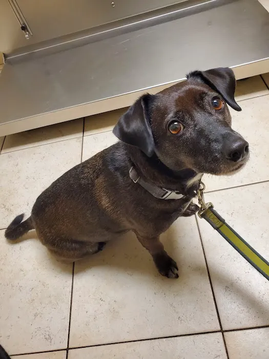 Ridgemont Animal Hospital Picture 7