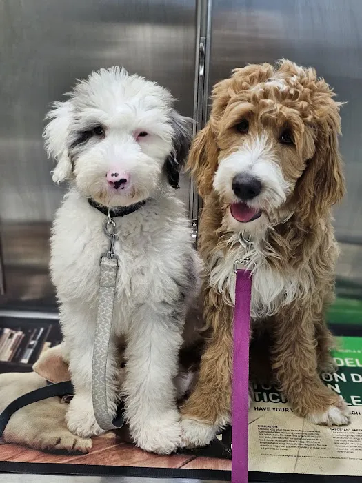 Clarkson Veterinary Hospital Picture 5
