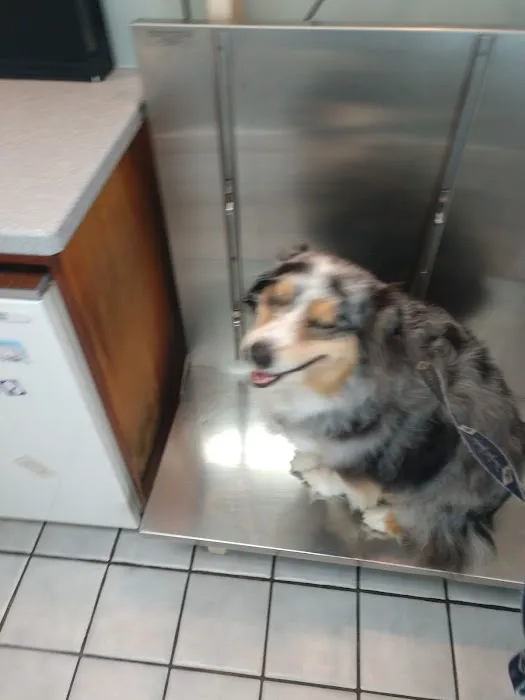 Clarkson Veterinary Hospital Picture 10