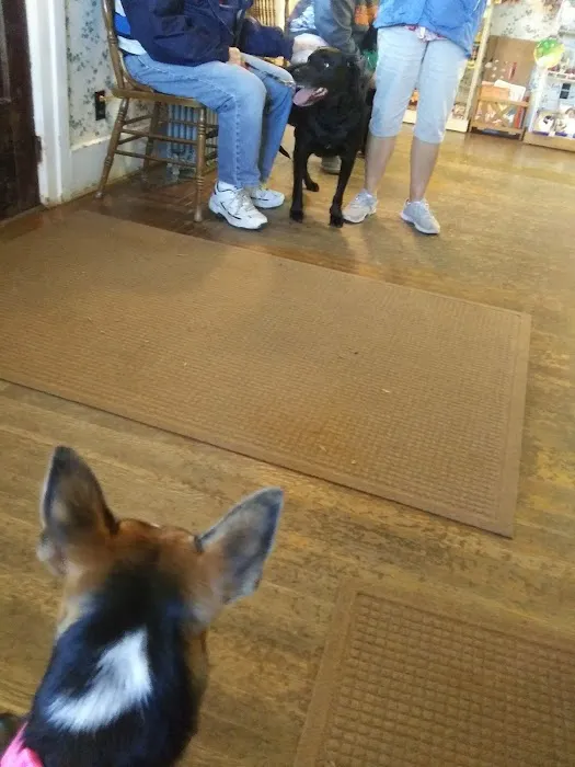 Medina Veterinary Clinic Picture 3