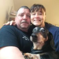 Medina Veterinary Clinic ico