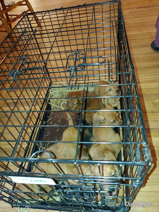 Medina Veterinary Clinic Picture 6